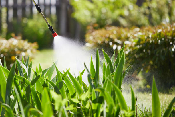 24/7 Emergency Pest Control experts in Oklahoma, OK
